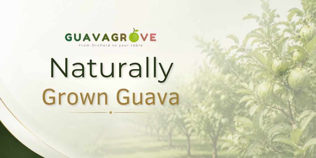 Naturally Grown Guava