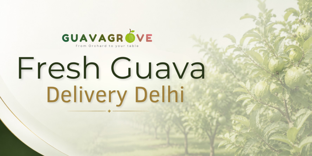 Fresh Guava Delivery Delhi